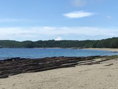 -东平洲海岸公园
