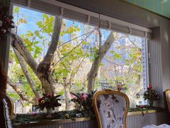 -蝶舍·MAISON PAPILLON