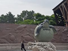 -广东惠东海龟国家级自然保护区