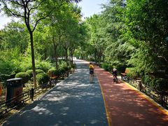 -大兴滨河森林公园