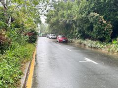 -梧桐山风景名胜区