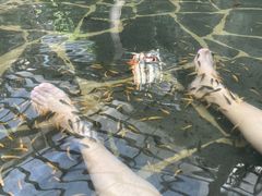 -龙达温泉生态城