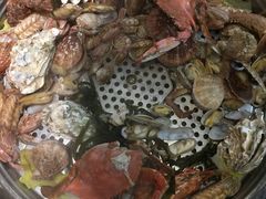 -船梆煮•蒸汽海鲜·炉火烤肉(五四广场店)