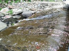 -武汉姚家山旅游景区