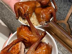 -大鸽饭(岗顶店)