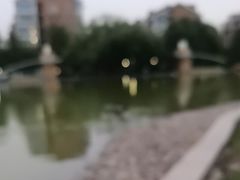 -天秀花园古月园