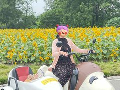 -中国天府农业博览园