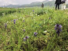 -新疆那拉提国家旅游度假区