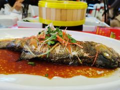 -月圆霖特色农家乐