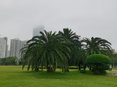 -万绿园