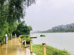 -华侨城湿地公园