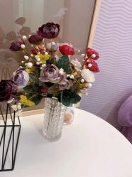 -SILKTONE诗丽堂美容