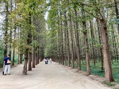 -日照海滨国家森林公园