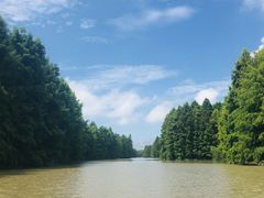 -上海海湾国家森林公园