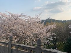 -苏州上方山国家森林公园