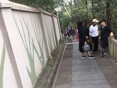 -上海佘山国家森林公园西佘山园