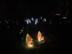 -祥源·阜阳生态乐园