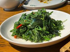 清炒丝瓜苗-一坐一忘云南菜(三里屯店)