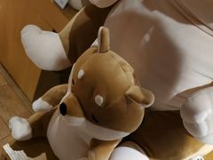 -九木杂物社(恒隆广场店)