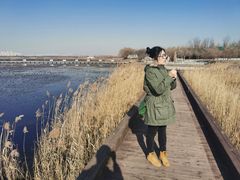 -天津东丽湖风景区