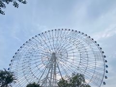 -南昌之星摩天轮