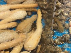 -新丁香海鲜酒店(银海商贸城店)