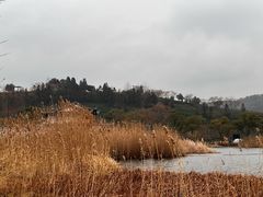 -南北湖风景区