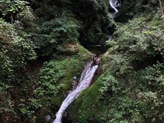 -牛背梁国家森林公园