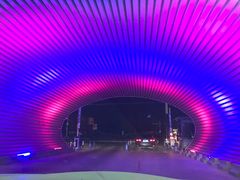 -枫花园汽车电影院(朝阳公园店)