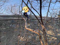 -香山公园