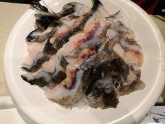 海参斑-龙福成肥牛火锅(文昌店)