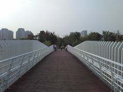 -南翔镇银翔湖公园