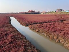 -红海滩国家风景廊道