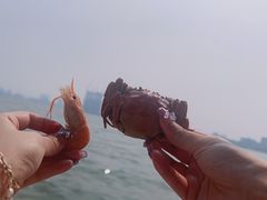 -滴水湖