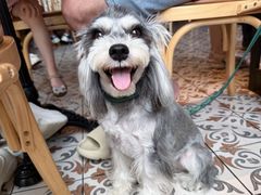 -Grande A'moo(上海万象城店)