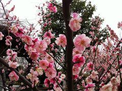 IMG_1990-白塘生态植物园