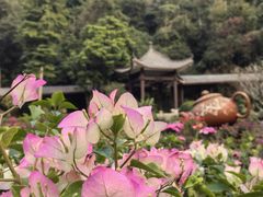 -广州市白云山风景名胜区