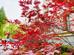 -钓鱼台国宾馆