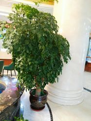 -重庆军科整形美容医院