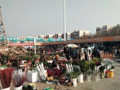 -中环花鸟鱼虫市场