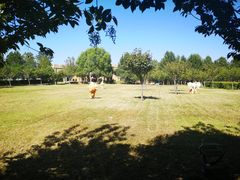 -古柏渡飞黄旅游区