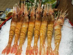 -蟹将军·松叶蟹和牛日料放题自助(K11店)