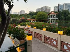 -深圳龙潭公园