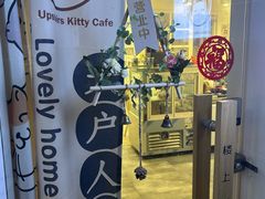 -楼上猫咖(罗湖店)