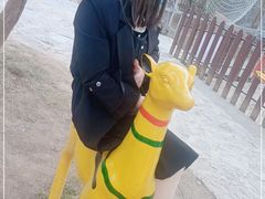 -清境桃源