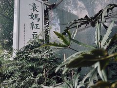 -袁妈红豆汤(重庆总店)