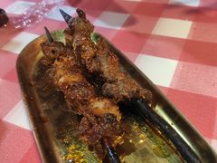 红柳木羊肉串-西域阿里马新疆菜·清真(桂花路店)