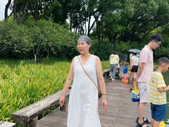 -圩墩遗址公园