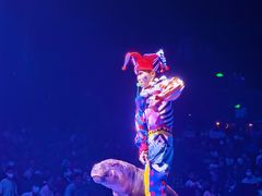 -珠海横琴长隆《卡卡虎奇遇记》