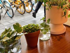 -稻田秋(怡美广场店)